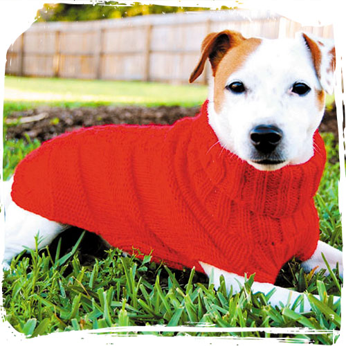 Alpaca wool hot sale dog sweaters