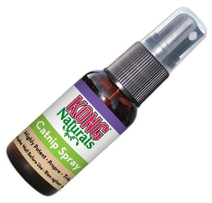 kong catnip spray