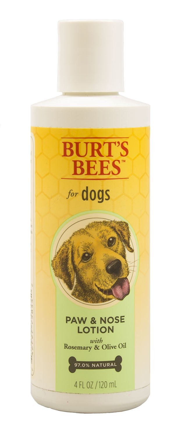 burt's bees paw and nose lotion