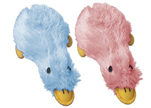 Duckworth duck shop dog toy