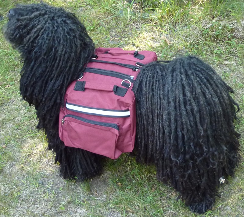 large dog backpack